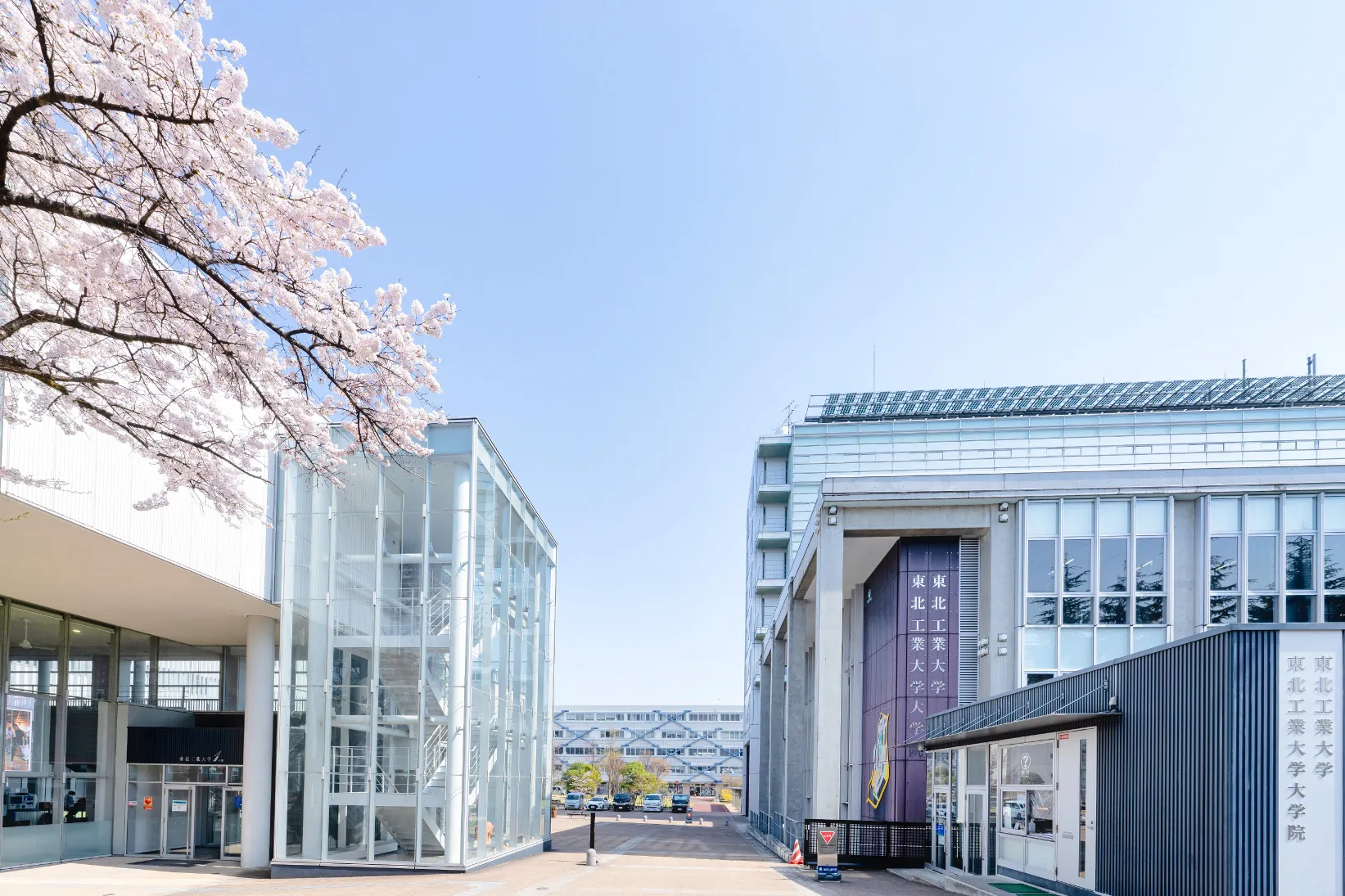 東北工大八木山キャンパスの実態！工学・建築学部の評判と長町との違い
