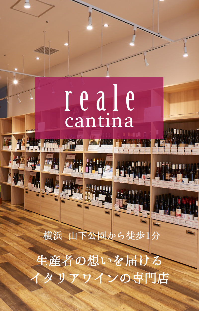 近くのワイン今すぐ買える・飲める名店＆人気バー徹底攻略【2026】
