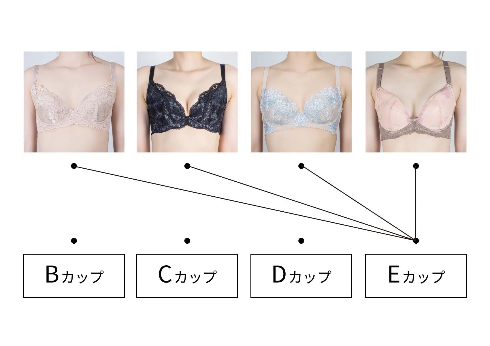 バストサイズの見た目とカップ数の差を解明！小さく見える原因と骨格比較