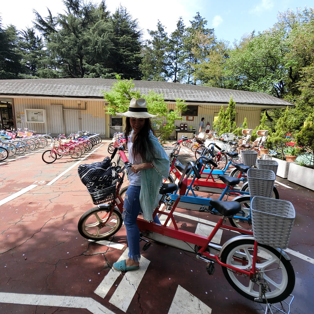 代々木公園サイクリングセンター最新利用ガイド！料金・混雑・タンデム完全網羅