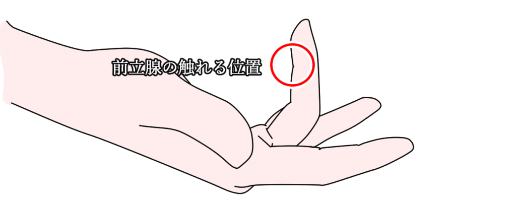 大阪の前立腺マッサージ事情！医療とエステの違いと優良店の見極め方